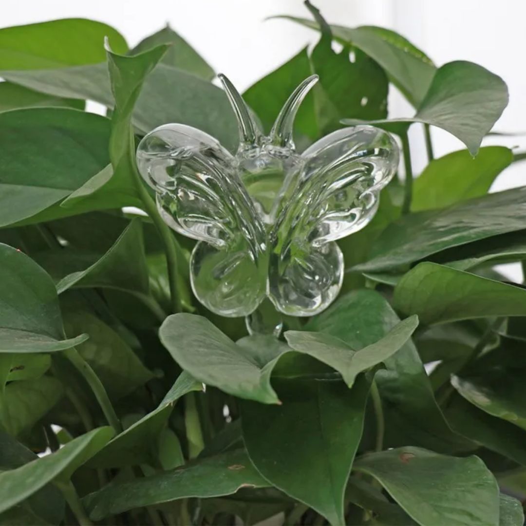 Transparante glazen zelfwatergever voor planten