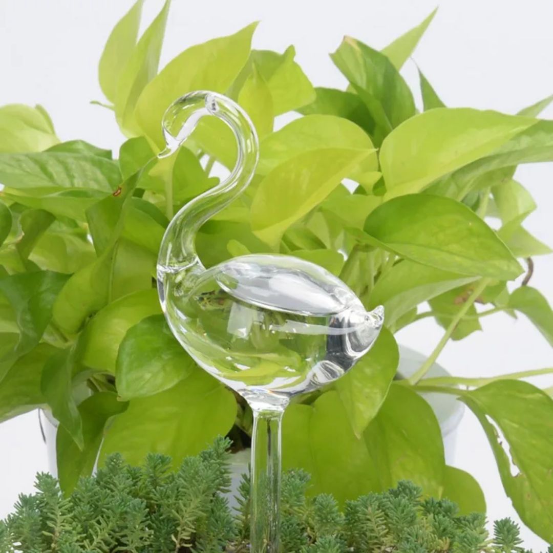 Transparante glazen zelfwatergever voor planten