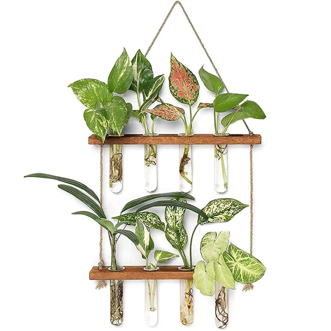 Wandplantenhouders met reageerbuisjes