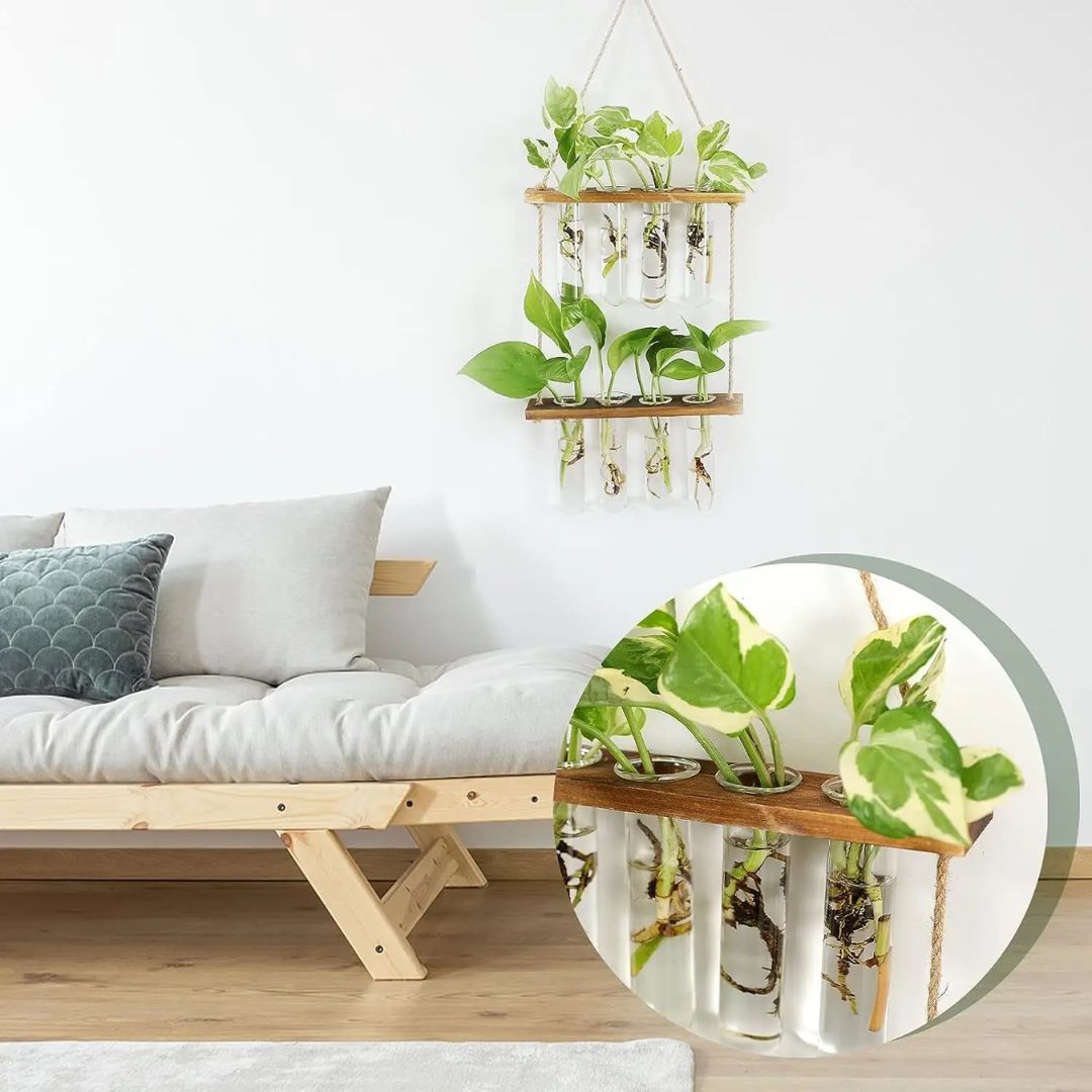 Wandplantenhouders met reageerbuisjes