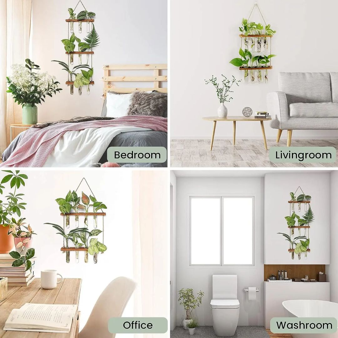 Wandplantenhouders met reageerbuisjes