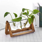 Hydroponische bloempot met houten tray