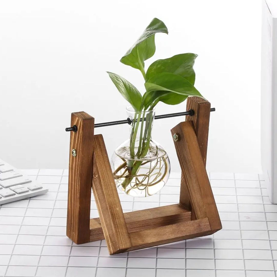 Hydroponische bloempot met houten tray