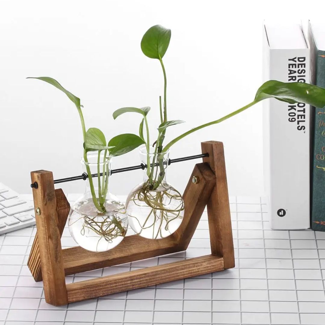 Hydroponische bloempot met houten tray