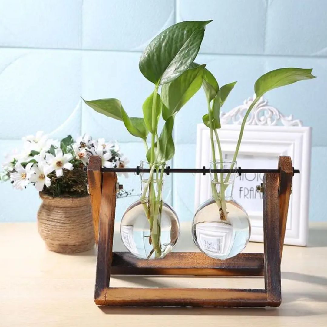 Hydroponische bloempot met houten tray — afbeelding 8