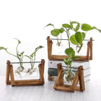 Hydroponische bloempot met houten tray — afbeelding 6