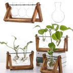 Hydroponische bloempot met houten tray