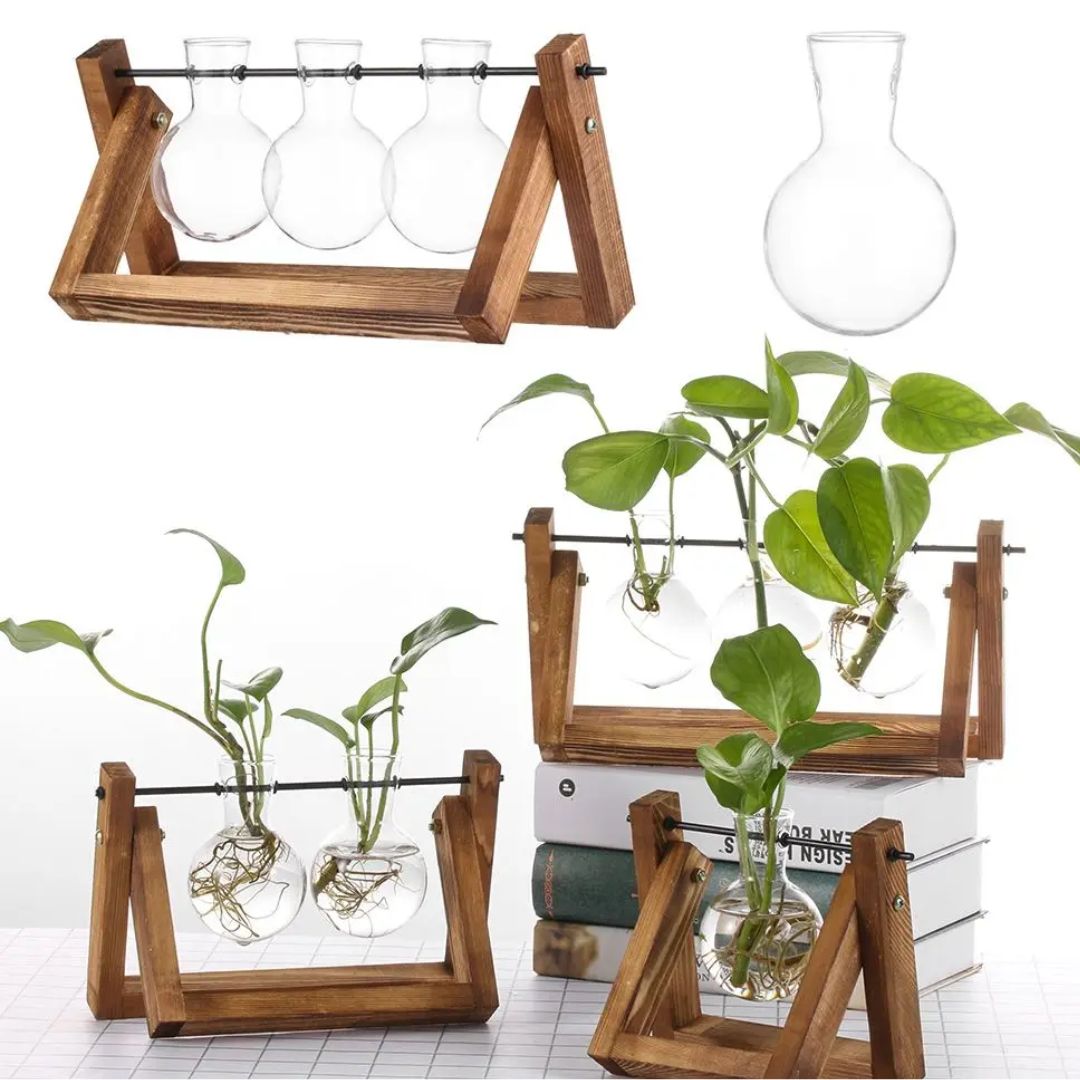 Hydroponische bloempot met houten tray