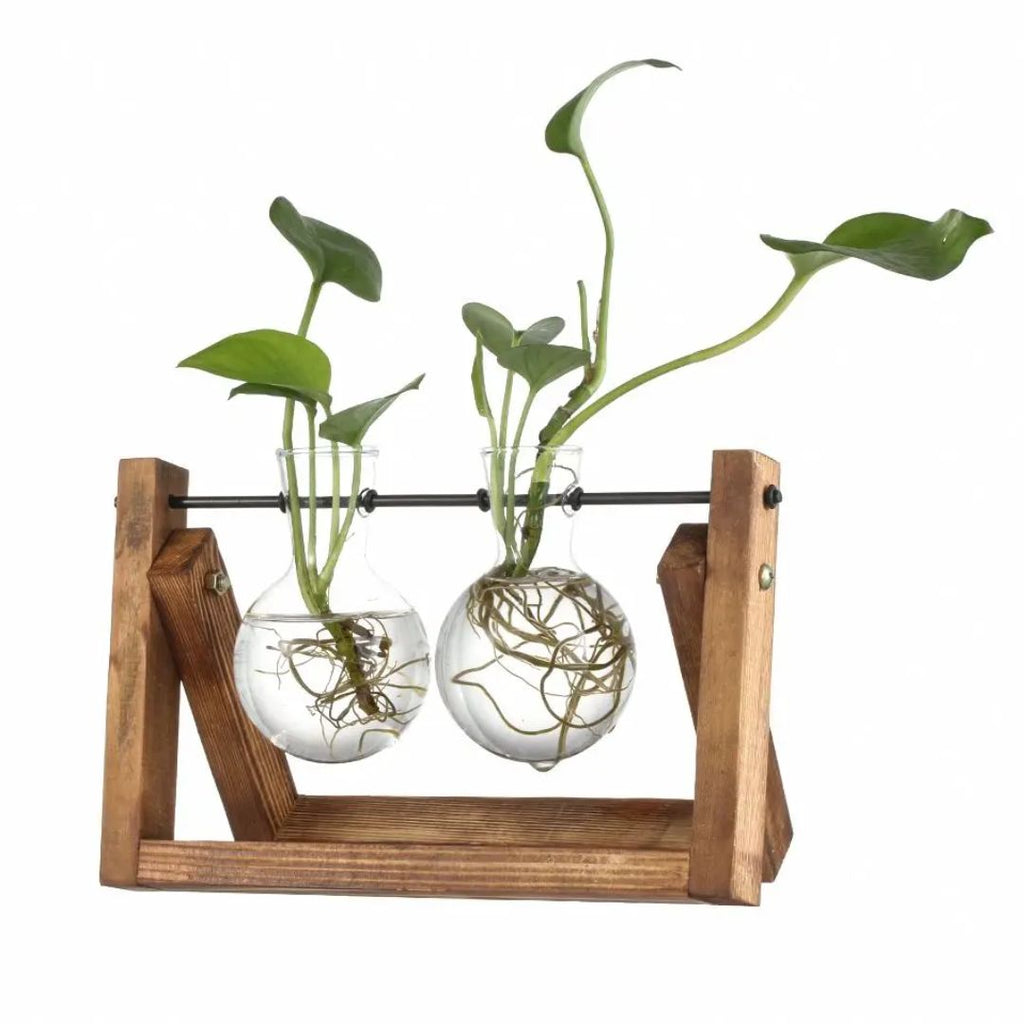 Hydroponische bloempot met houten tray
