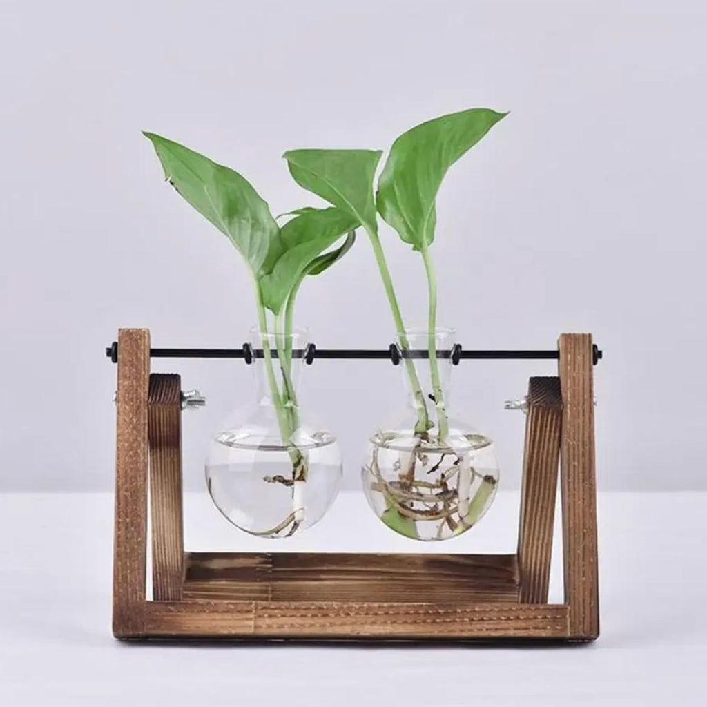 Hydroponische bloempot met houten tray