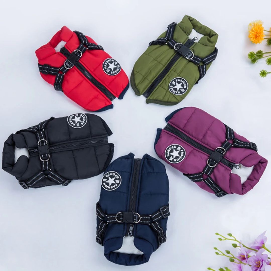 Hondenwinterjas – warm en comfortabel