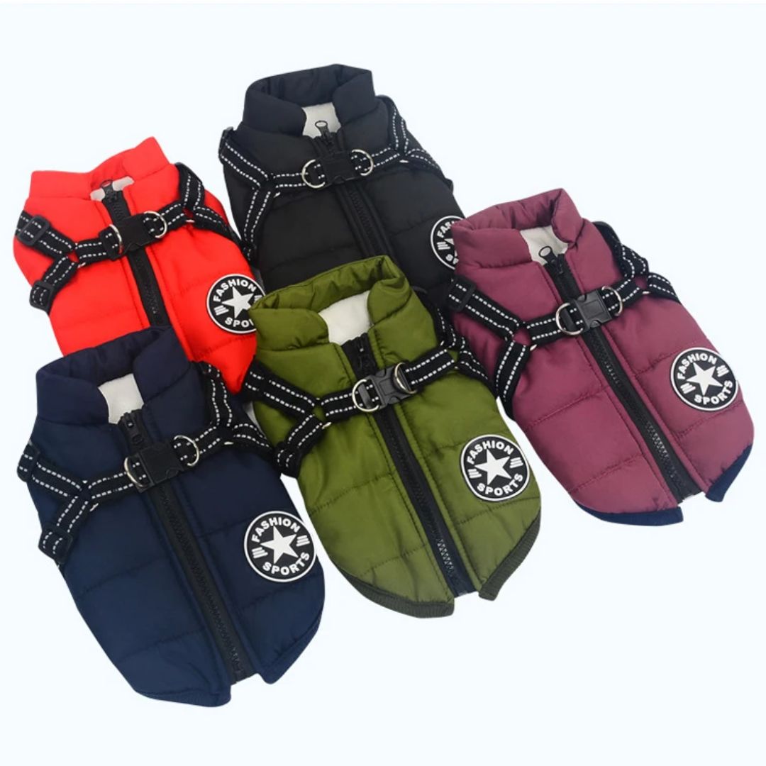 Hondenwinterjas – warm en comfortabel