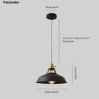 Kleurrijke LED hanglamp