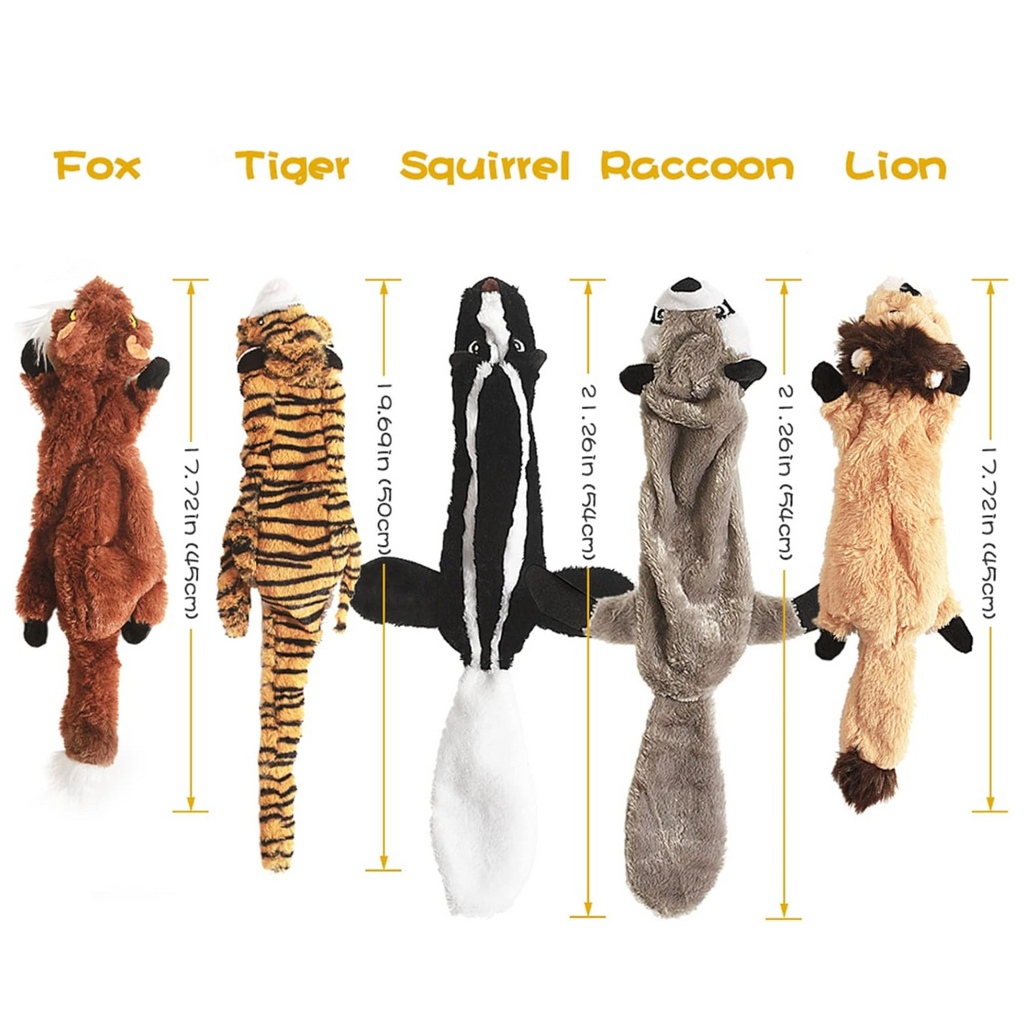 Squeak hondenspeelgoed - set van 5