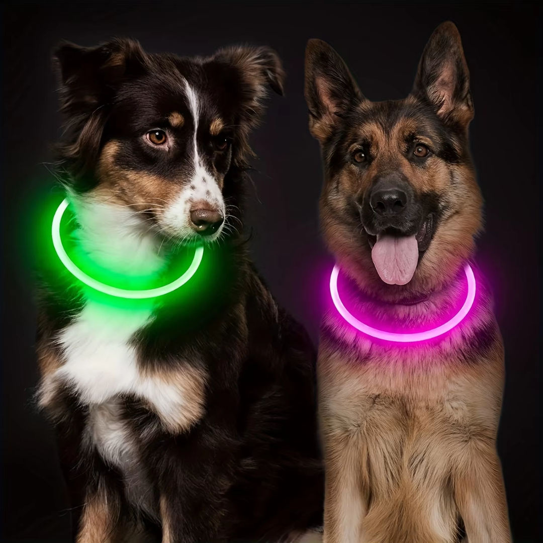 GlowSafe LED hondenhalsband