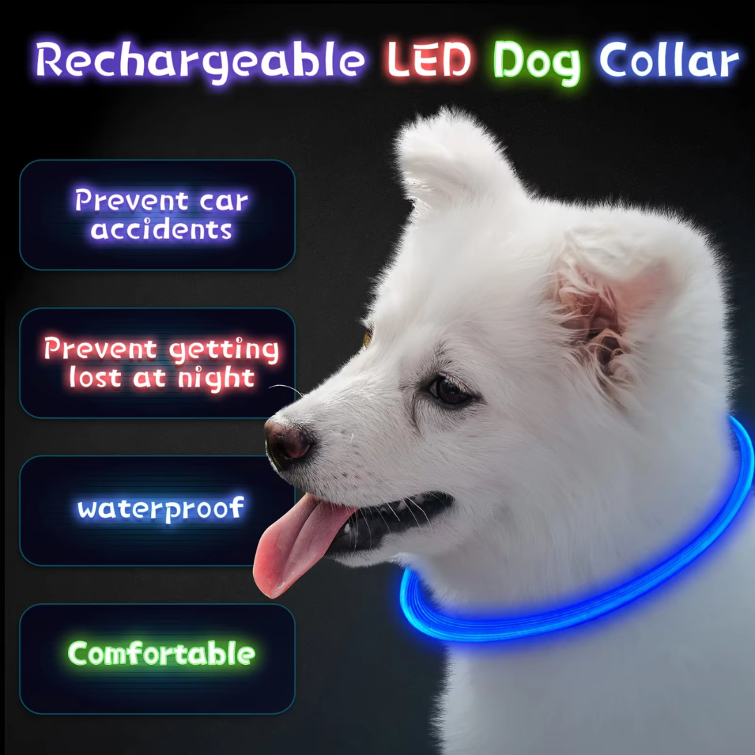 GlowSafe LED hondenhalsband