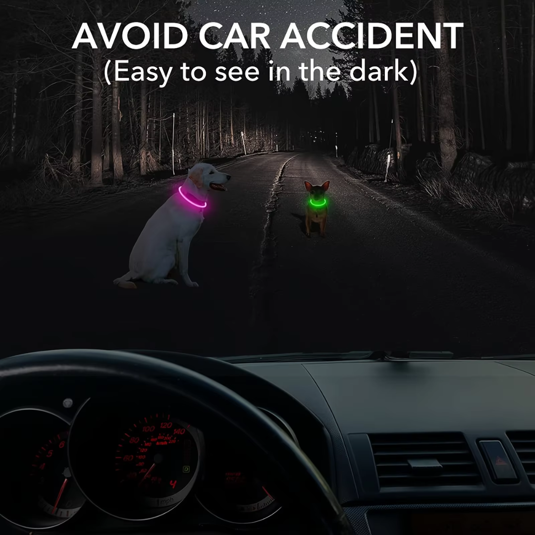 GlowSafe LED hondenhalsband