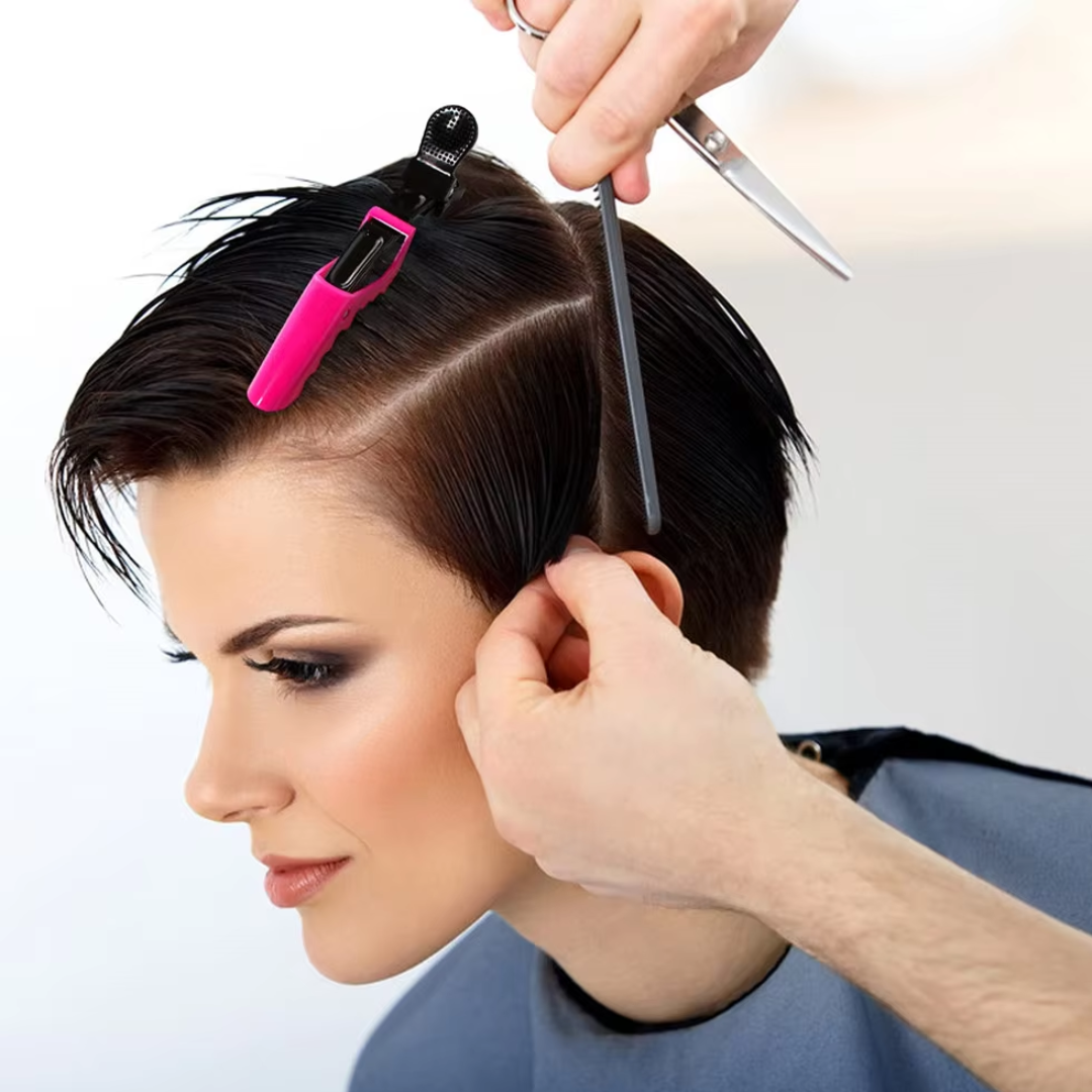 Haarstylingclips, set van 10