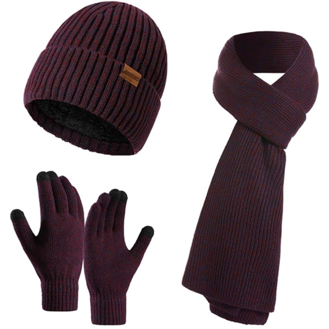Heren winter beanie & handschoenen set