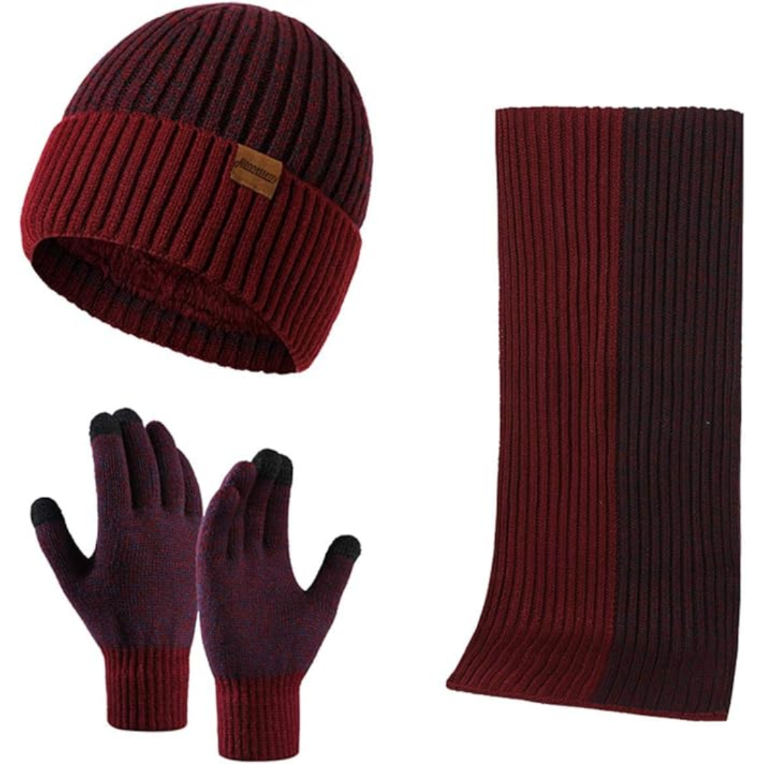 Heren winter beanie & handschoenen set