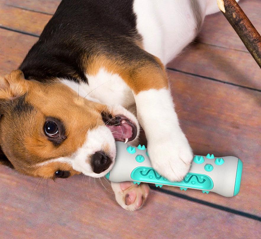 Gebitsreinigend kauwspeeltje voor honden