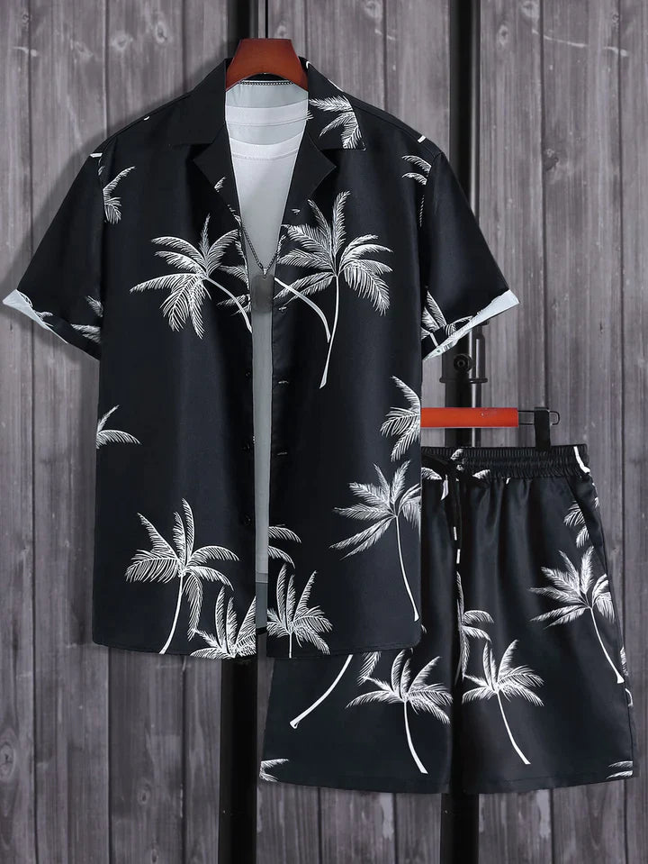 Dominik zomerset — afbeelding 7
