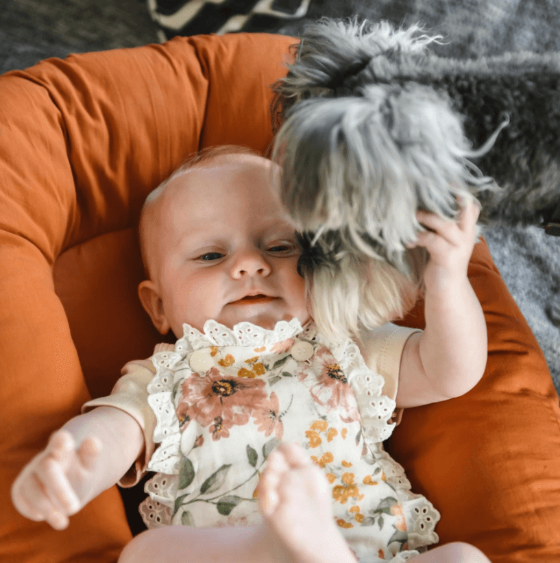 Draagbaar ligbed voor baby's — afbeelding 6