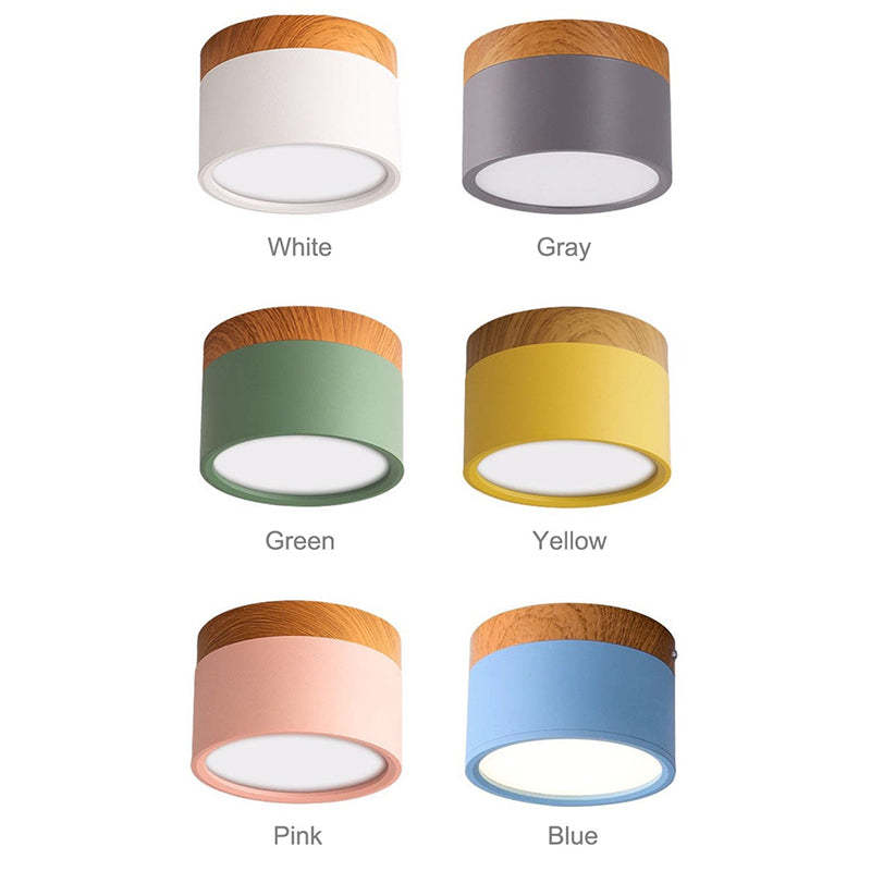 Morandi stijl moderne LED plafondlamp