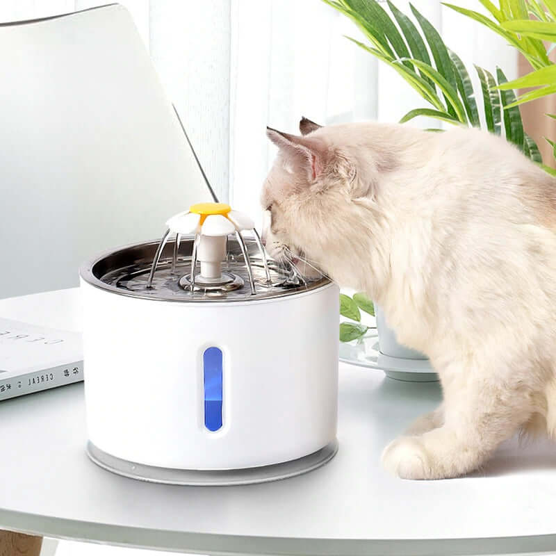 Katten water fontein – materiaal: PP plastic + roestvrij staal — afbeelding 1