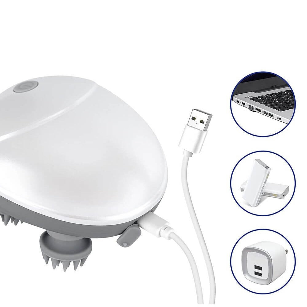 Elektrische kat massager