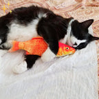 Set van 4 bewegende vissen speeltjes voor katten -fitfish – materiaal: en voor huisdieren — afbeelding 20