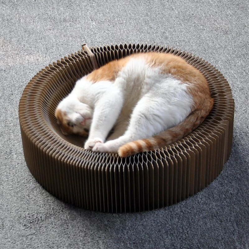 Kattenbed met kraboppervlak