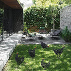 Tuin kippie – tuin decoratie