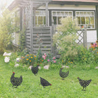 Tuin kippie – tuin decoratie