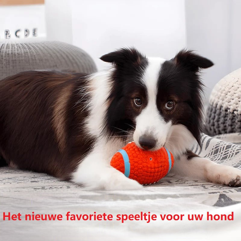 Het onverwoestbare speelmaatje voor honden
