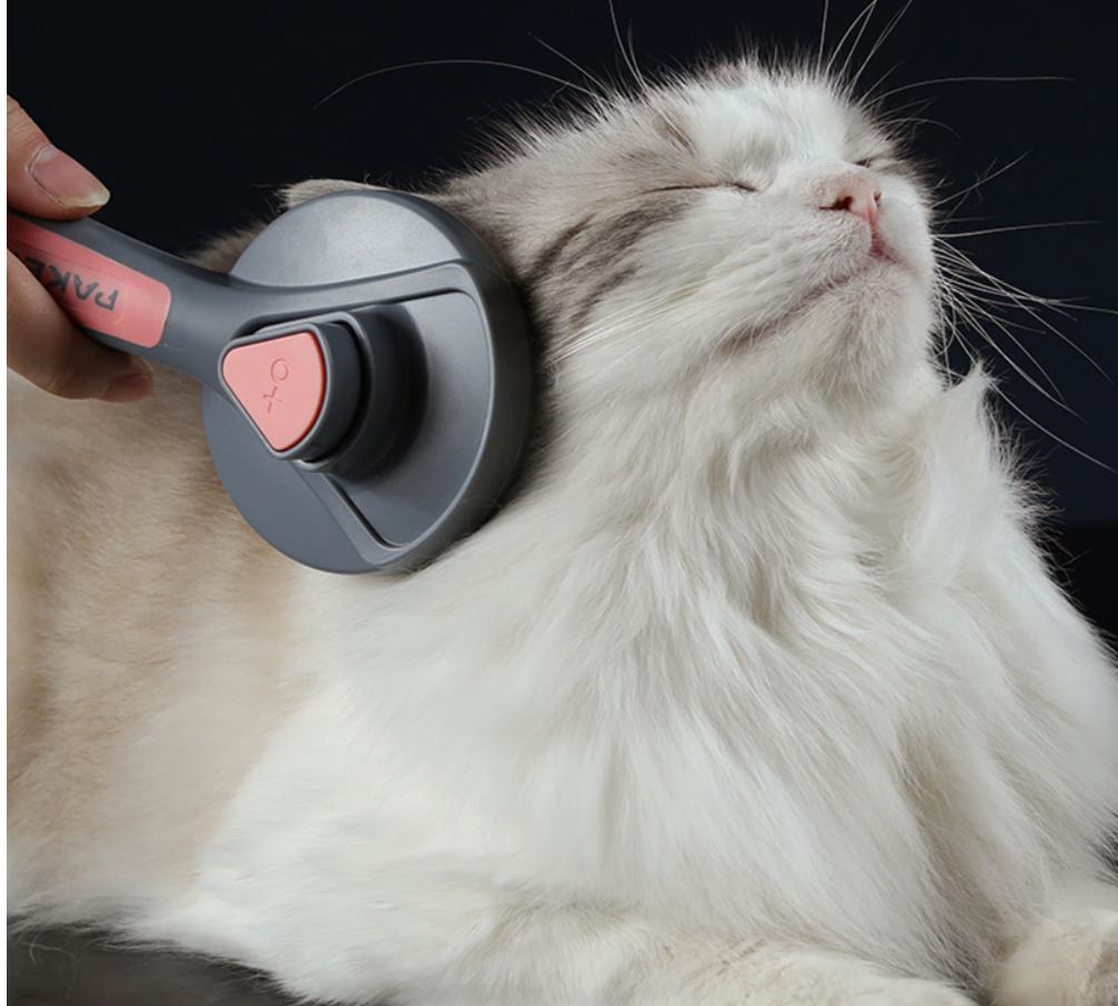 Kam voor katten en honden