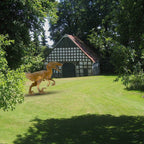 Metalen dinosaurusdecoratie voor de tuin