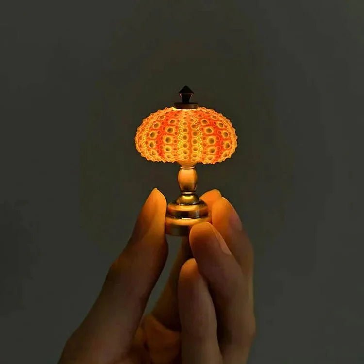 DIY zee-egel nachtlampje