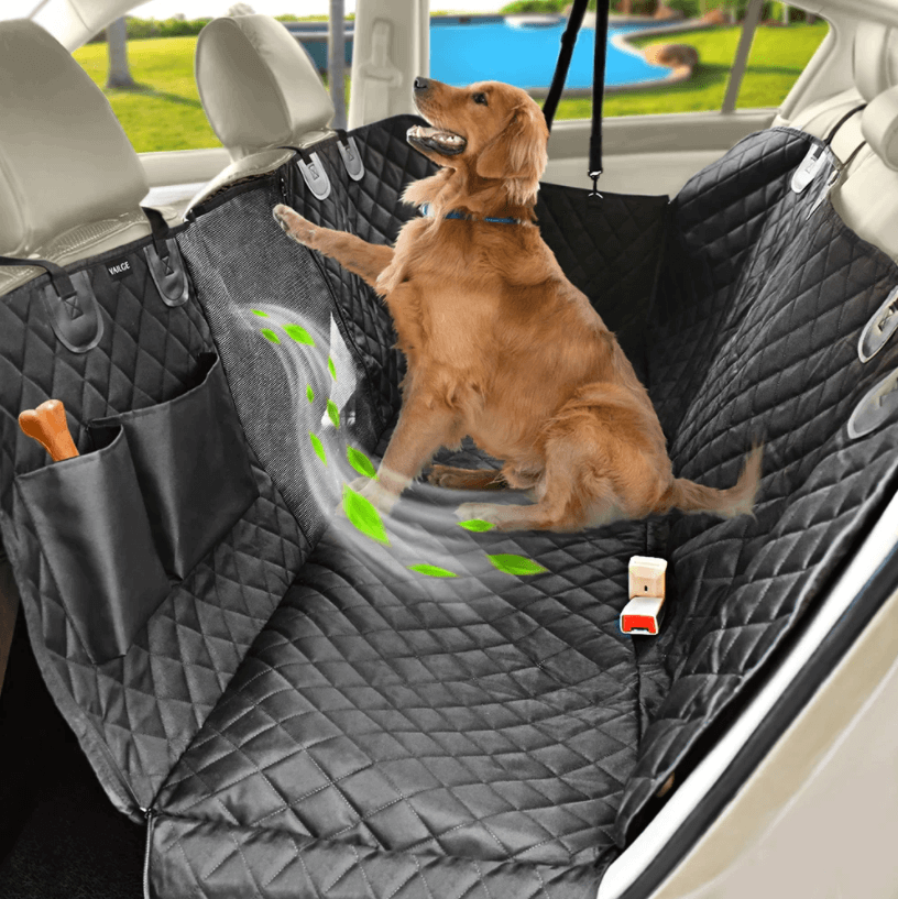 Hond auto mat