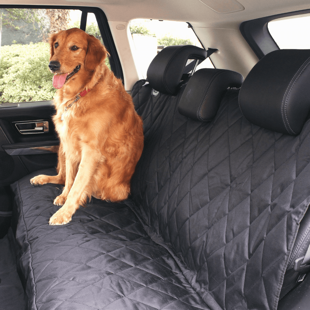 Hond auto mat