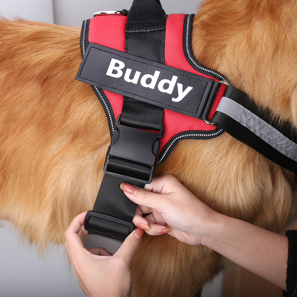 Harnas voor honden