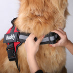 Harnas voor honden