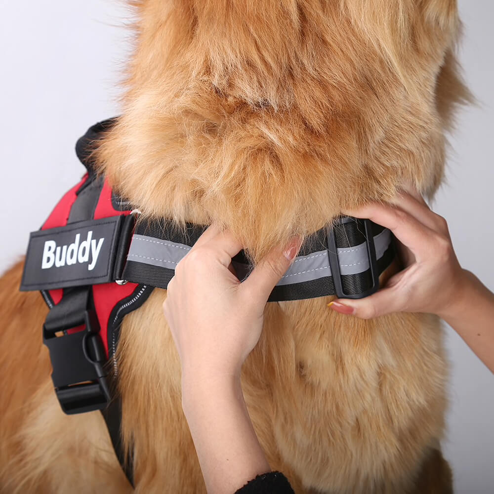 Harnas voor honden
