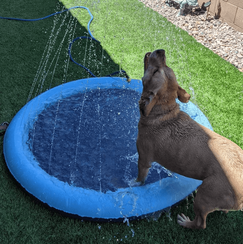Sproeimat voor honden