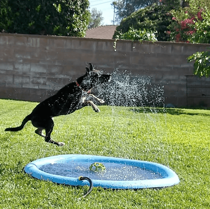 Sproeimat voor honden