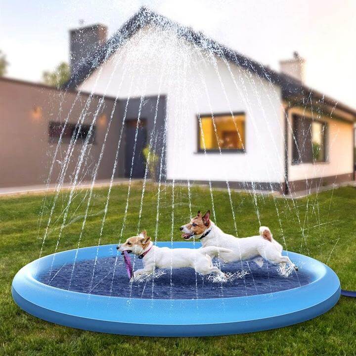 Sproeimat voor honden