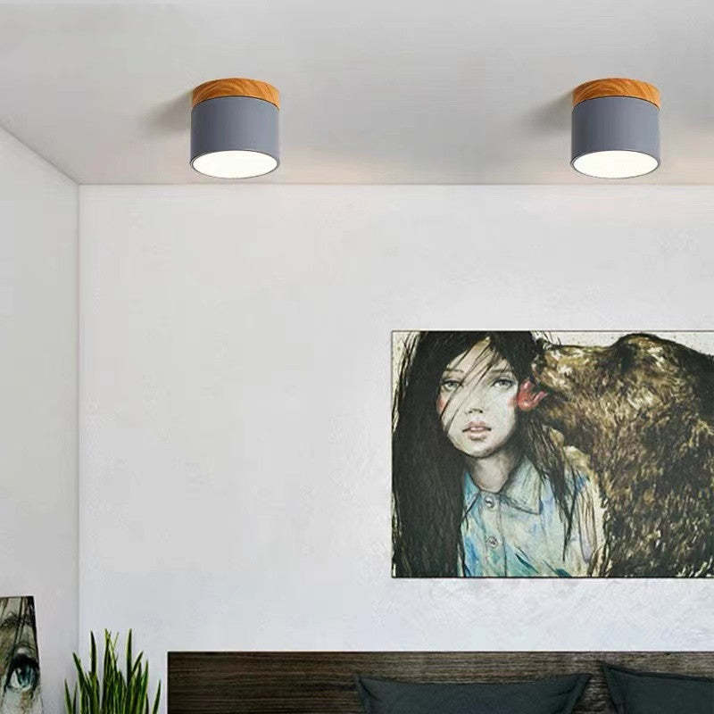 Morandi stijl moderne LED plafondlamp