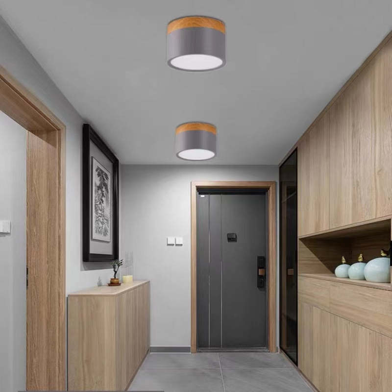 Morandi stijl moderne LED plafondlamp
