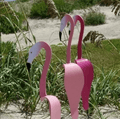 Flamingoz – dynamische vogel