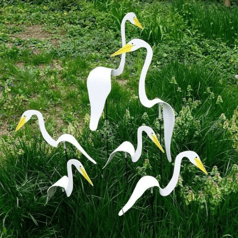 Flamingoz – dynamische vogel